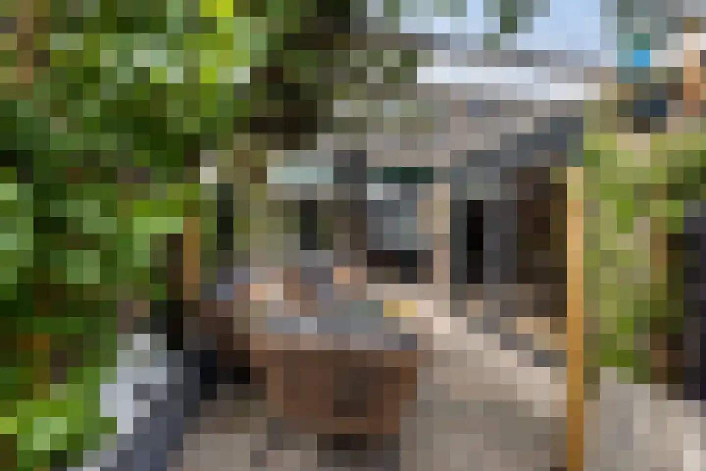 Dr. Boelmans Kranenburgstraat 36 Ter Apel thumbnail 37
