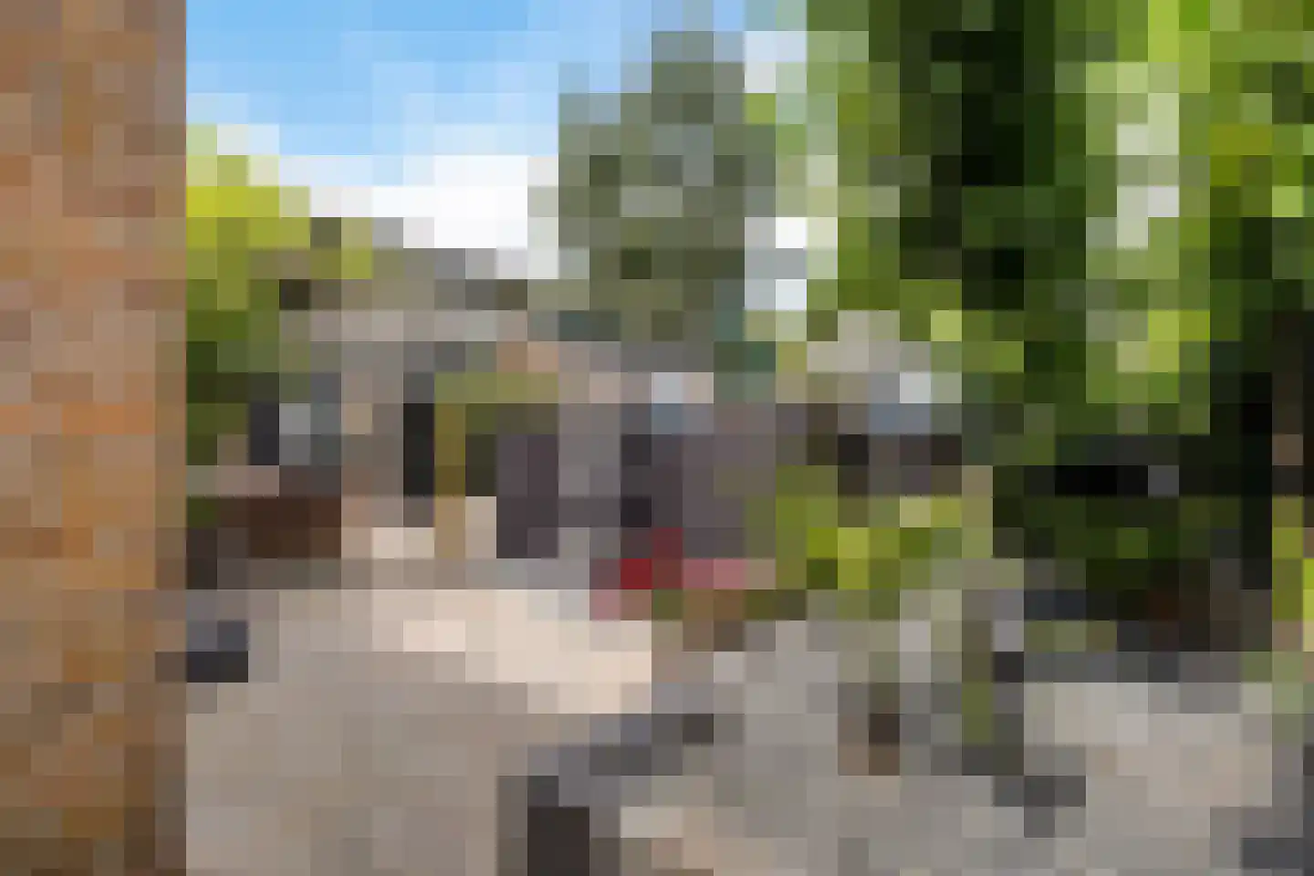 Dr. Boelmans Kranenburgstraat 36 Ter Apel thumbnail 39
