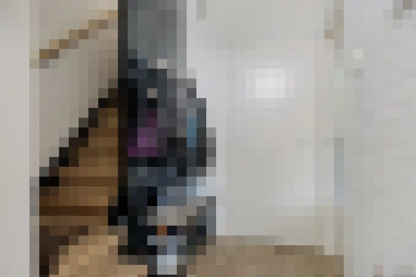 Dr. Boelmans Kranenburgstraat 36 Ter Apel thumbnail 5