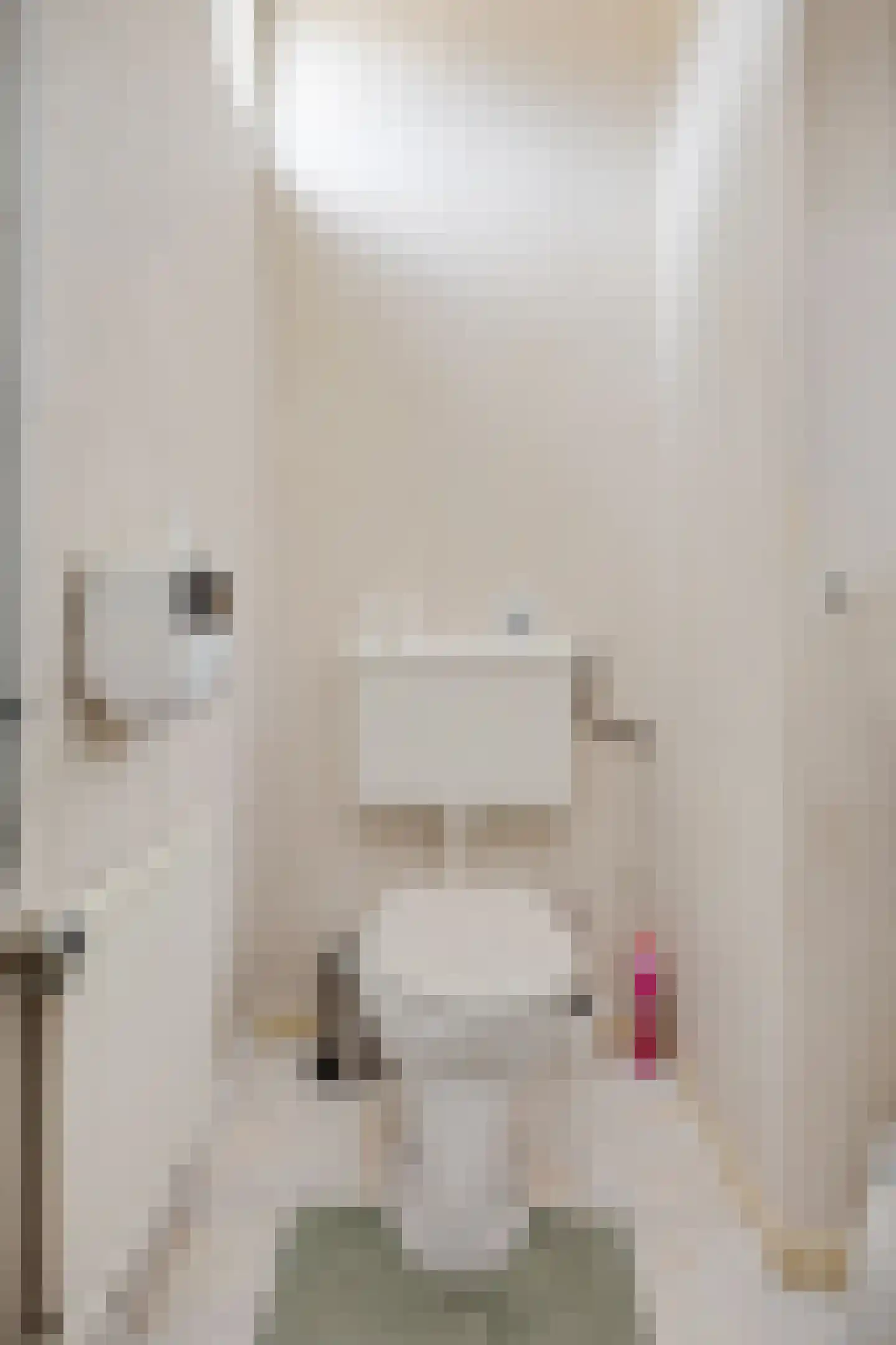 Dr. Boelmans Kranenburgstraat 36 Ter Apel thumbnail 6