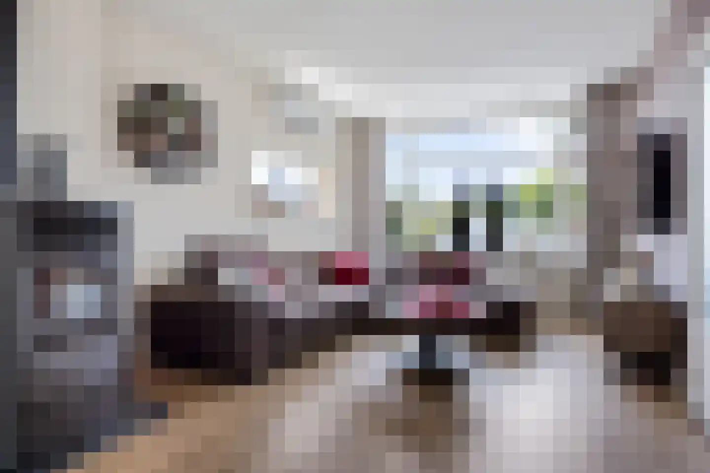 Dr. Boelmans Kranenburgstraat 36 Ter Apel thumbnail 9