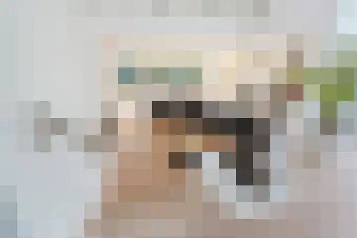 Dr. Boomstraat 10 Boskoop thumbnail 17