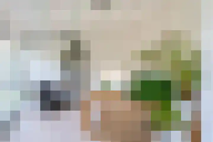 Dr. Boomstraat 10 Boskoop thumbnail 21