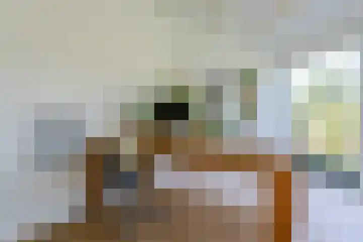 Dr. Boomstraat 10 Boskoop thumbnail 23