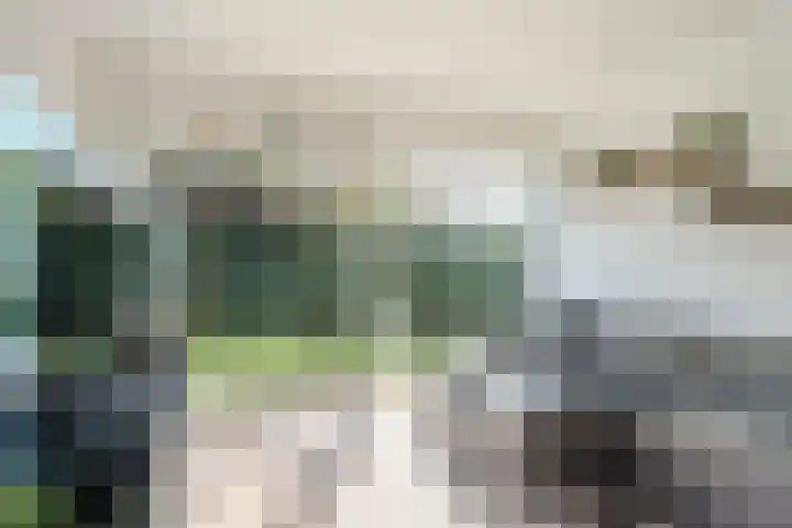 Dr. Boomstraat 10 Boskoop thumbnail 24