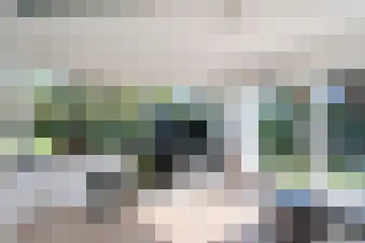 Dr. Boomstraat 10 Boskoop thumbnail 26