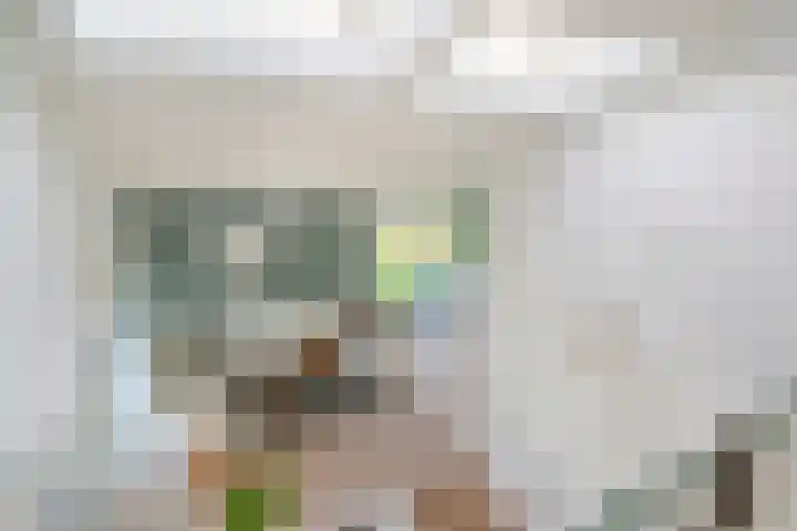 Dr. Boomstraat 10 Boskoop thumbnail 32