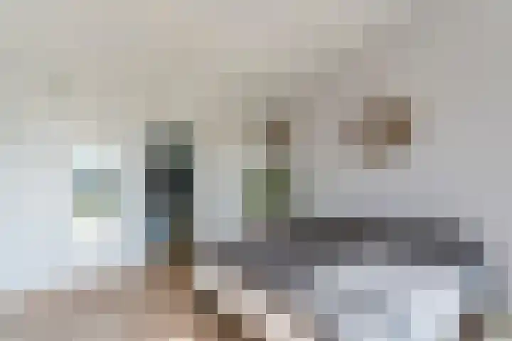 Dr. Boomstraat 10 Boskoop thumbnail 33