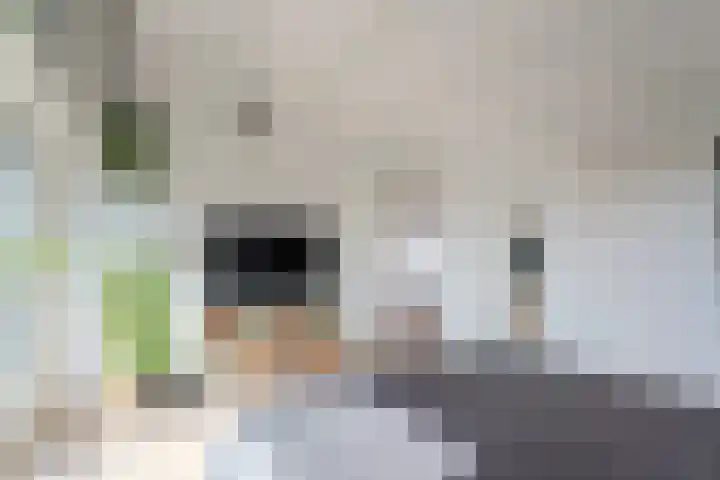 Dr. Boomstraat 10 Boskoop thumbnail 34