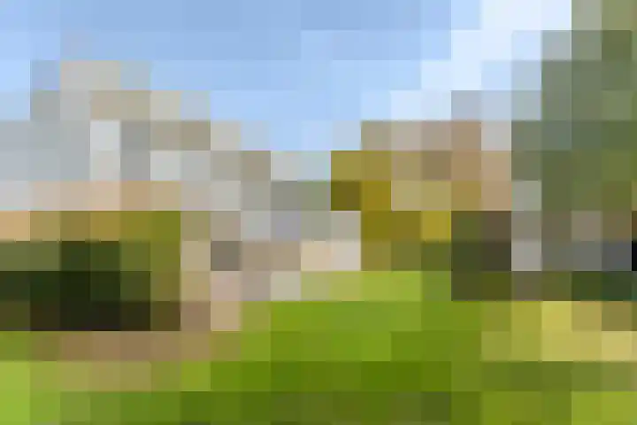 Dr. Boomstraat 10 Boskoop thumbnail 4