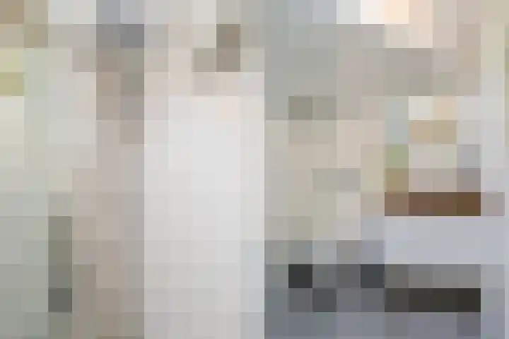 Dr. Boomstraat 10 Boskoop thumbnail 44