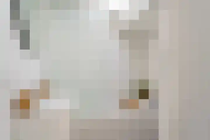 Dr. Boomstraat 10 Boskoop thumbnail 45