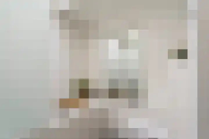 Dr. Boomstraat 10 Boskoop thumbnail 46