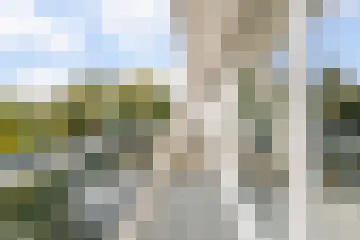 Dr. Boomstraat 10 Boskoop thumbnail 48