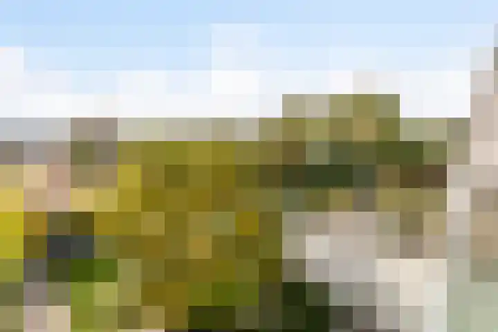 Dr. Boomstraat 10 Boskoop thumbnail 50