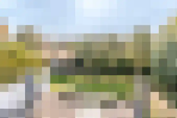 Dr. Boomstraat 10 Boskoop thumbnail 51