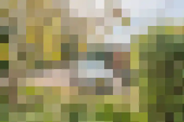 Dr. Boomstraat 10 Boskoop thumbnail 52