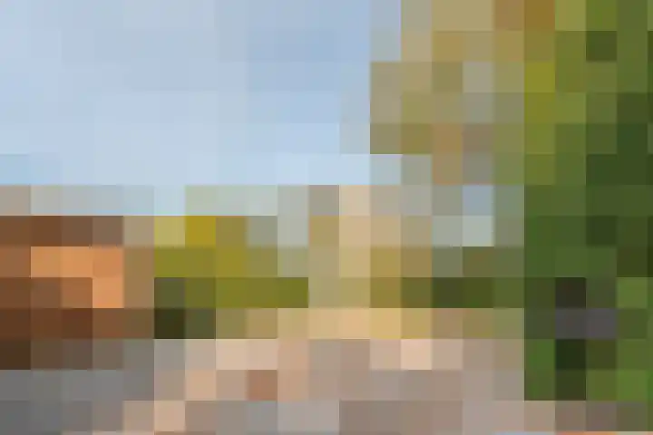 Dr. Boomstraat 10 Boskoop thumbnail 53