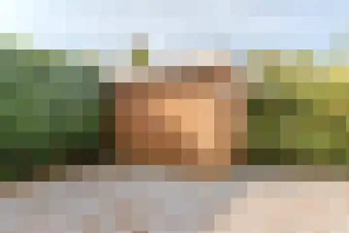 Dr. Boomstraat 10 Boskoop thumbnail 54
