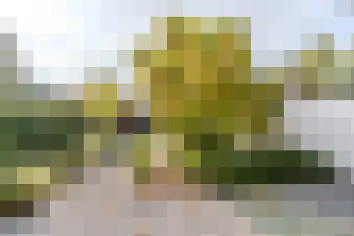 Dr. Boomstraat 10 Boskoop thumbnail 55