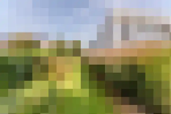 Dr. Boomstraat 10 Boskoop thumbnail 56