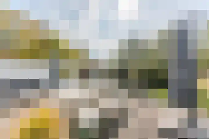 Dr. Boomstraat 10 Boskoop thumbnail 58