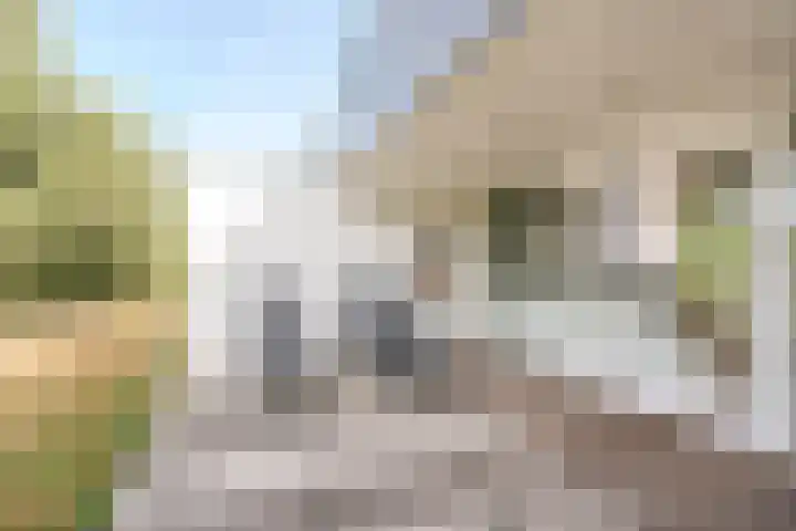 Dr. Boomstraat 10 Boskoop thumbnail 59