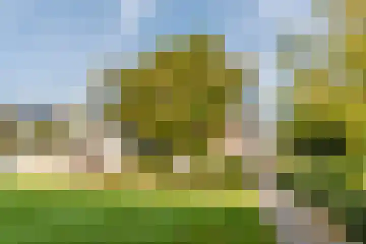 Dr. Boomstraat 10 Boskoop thumbnail 60