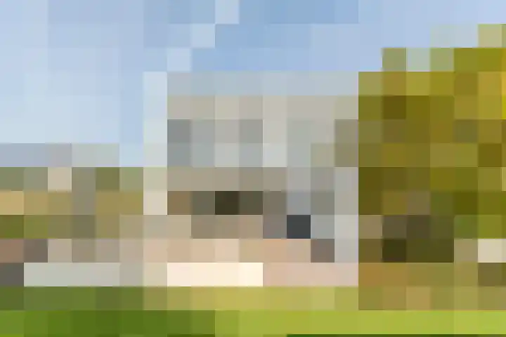 Dr. Boomstraat 10 Boskoop thumbnail 61