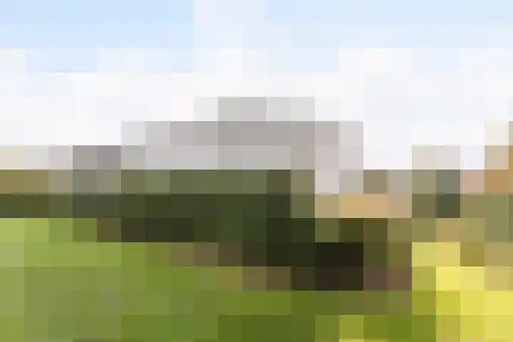 Dr. Boomstraat 10 Boskoop thumbnail 62