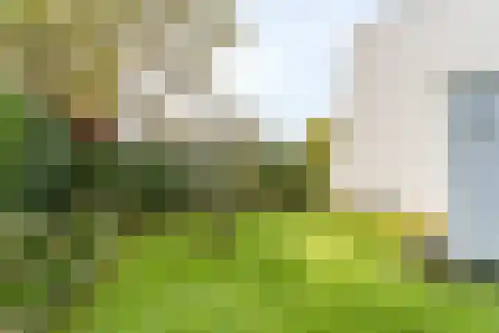 Dr. Boomstraat 10 Boskoop thumbnail 65