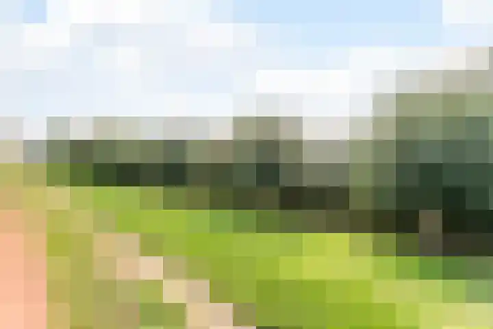 Dr. Boomstraat 10 Boskoop thumbnail 66