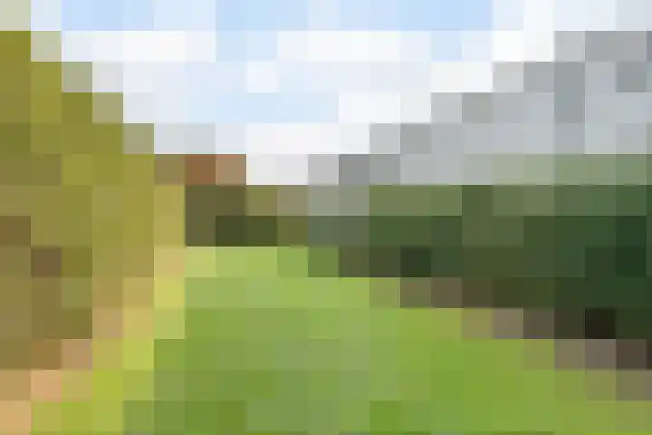 Dr. Boomstraat 10 Boskoop thumbnail 67