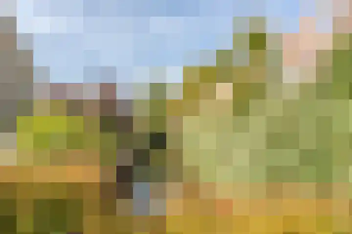 Dr. Boomstraat 10 Boskoop thumbnail 68