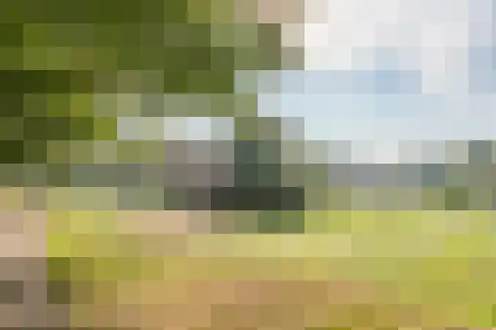 Dr. Boomstraat 10 Boskoop thumbnail 69