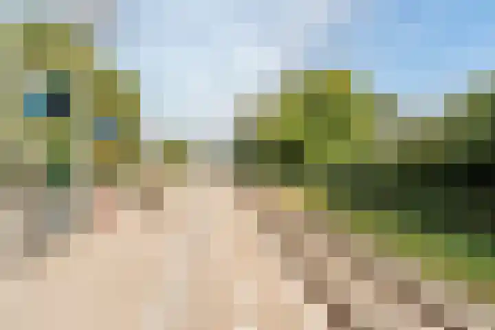 Dr. Boomstraat 10 Boskoop thumbnail 70