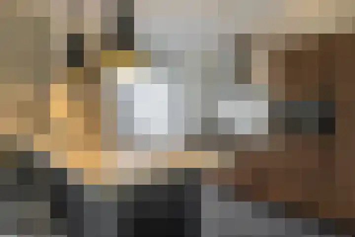 Dr. Bosstraat 10 Tiel thumbnail 12