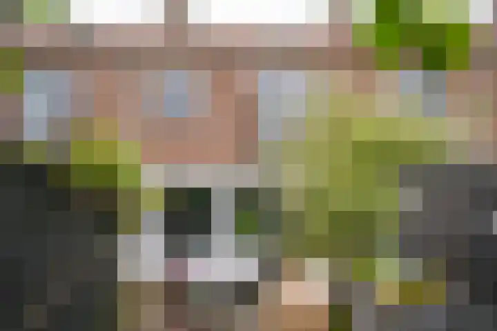 Dr. Bosstraat 10 Tiel thumbnail 20