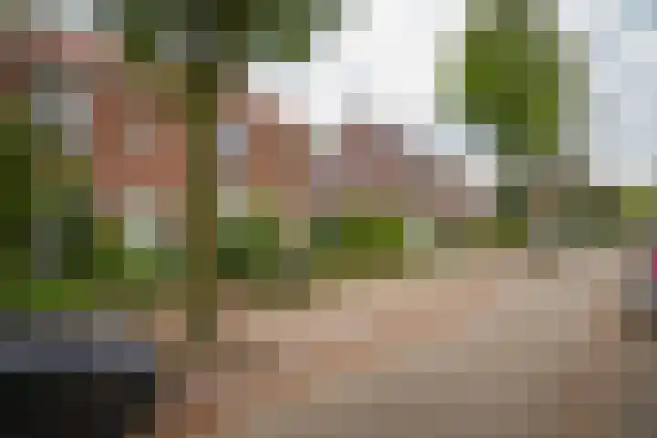 Dr. Bosstraat 10 Tiel thumbnail 35