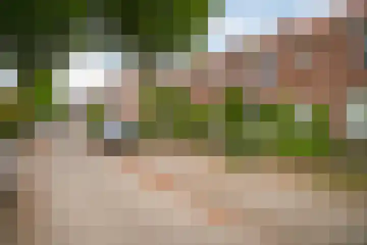 Dr. Bosstraat 10 Tiel thumbnail 37