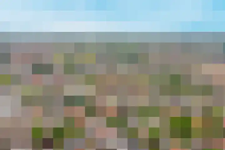 Dr. Bosstraat 10 Tiel thumbnail 38