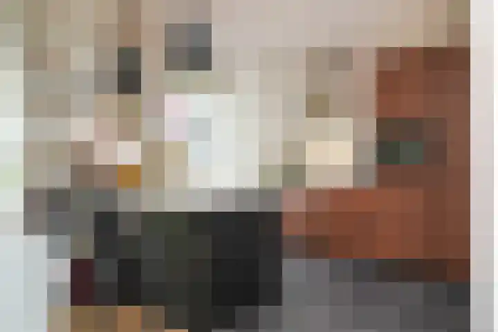 Dr. Bosstraat 10 Tiel thumbnail 8