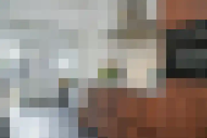 Dr. Bosstraat 10 Tiel thumbnail 9