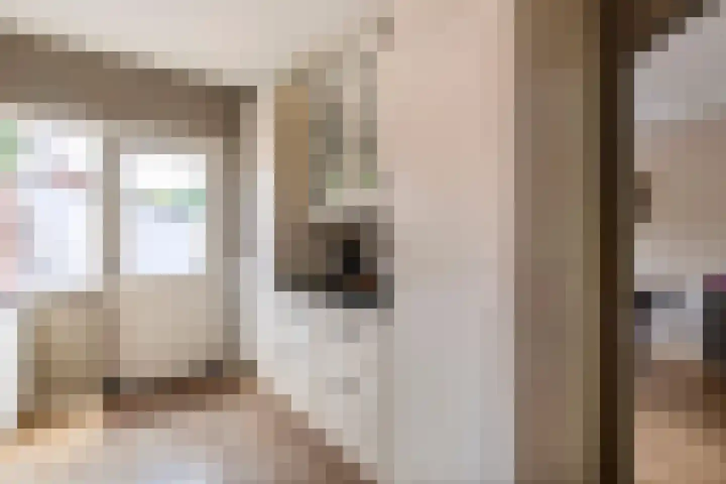 Dr. Bosstraat 14 Tiel thumbnail 18