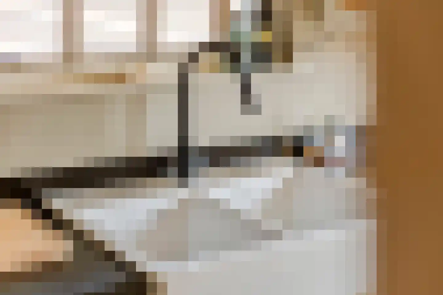 Dr. Bosstraat 14 Tiel thumbnail 21