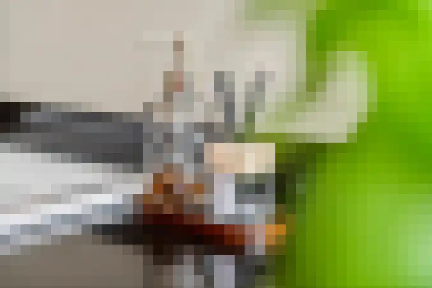 Dr. Bosstraat 14 Tiel thumbnail 22