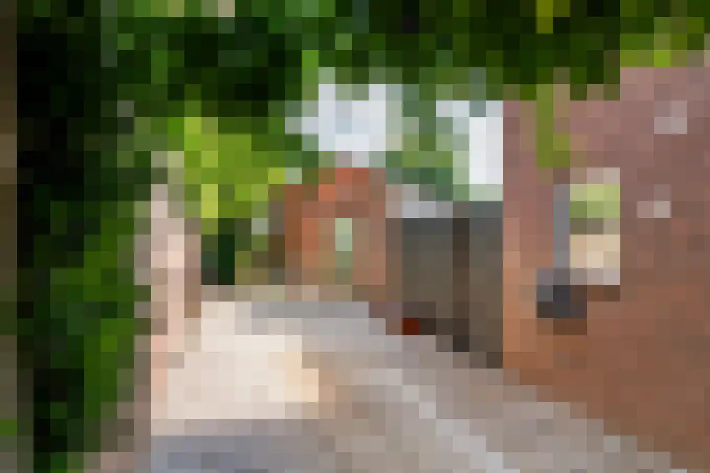 Dr. Bosstraat 14 Tiel thumbnail 35