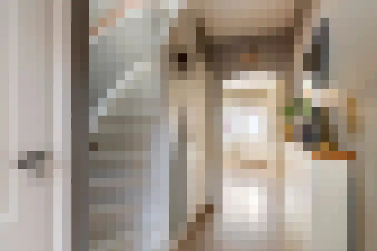 Dr. Bosstraat 14 Tiel thumbnail 36