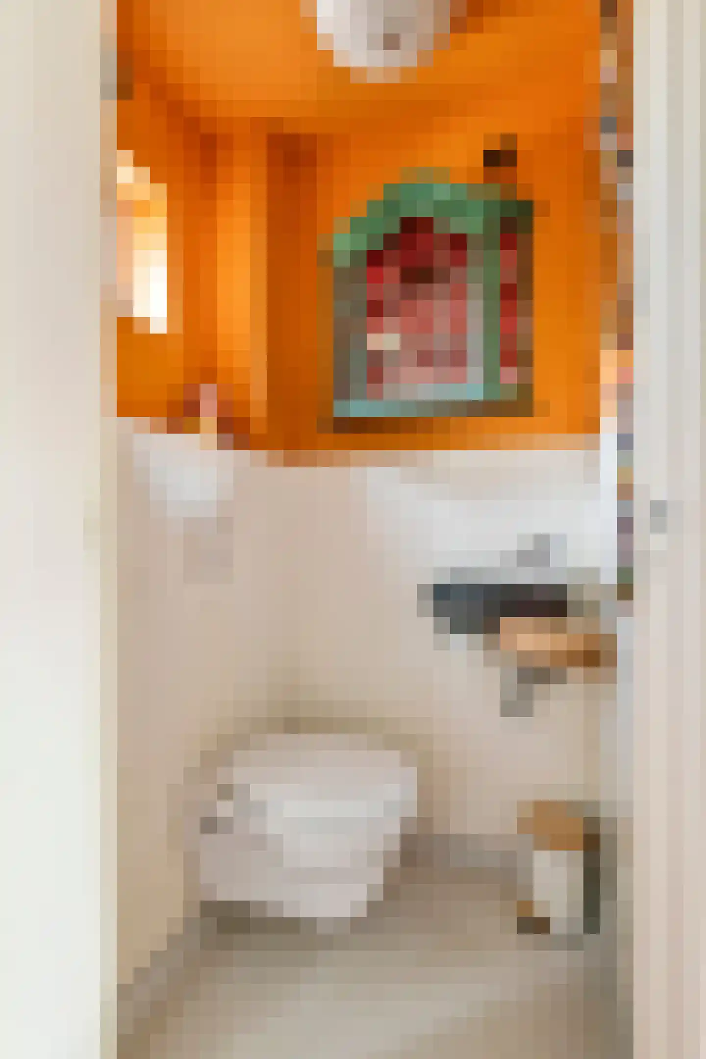 Dr. Bosstraat 14 Tiel thumbnail 37