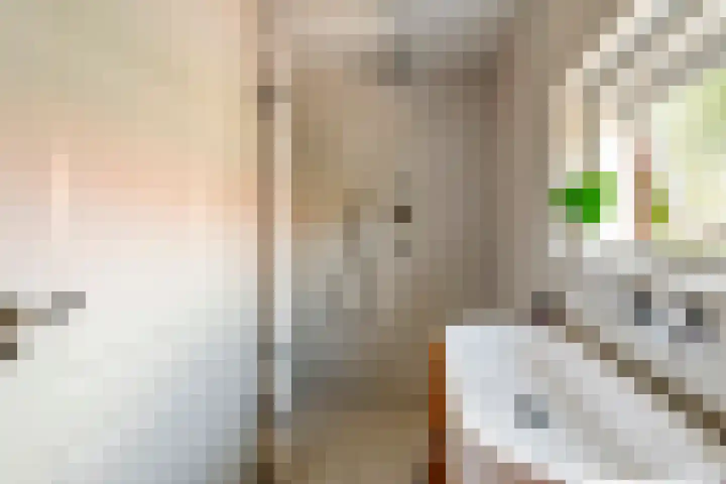 Dr. Bosstraat 14 Tiel thumbnail 4
